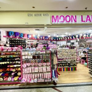 Moon Lady